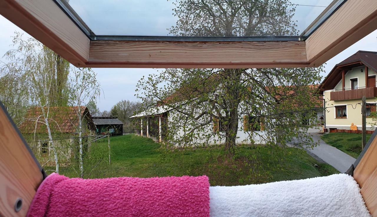 Beautiful House Surrounded By Pure Nature Rogasovci Экстерьер фото
